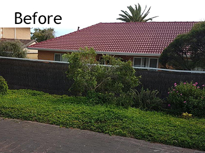 Adelaide brush fence